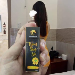 trùm sìn sú tại Hải Phòng
