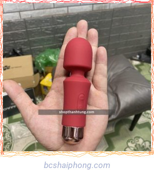 CHAY RUNG MINI CAM TAY LITTLE AI tai Hai Phong 1.jpg