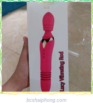 Chay rung Lucy Vibrating Rod dau rung duoi thut 671 1.jpg