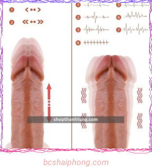 Duong Vat Gia Rung Thut Masturbator 2.jpg