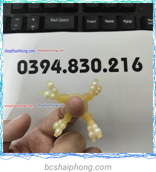 RAU RONG SILICON 10.jpg