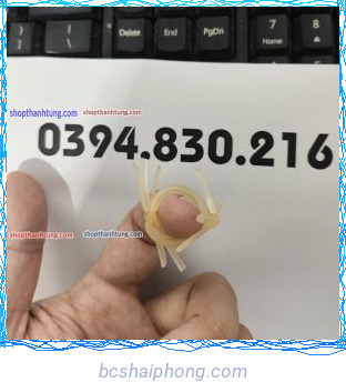 RAU RONG SILICON 8.jpg