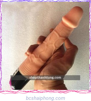 duong vat gia 2 pin ngoay 1.jpg