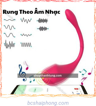 trung rung dieu khien bang app little dolphin 4.jpg