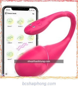 trung rung dieu khien bang app little dolphin 7.jpg